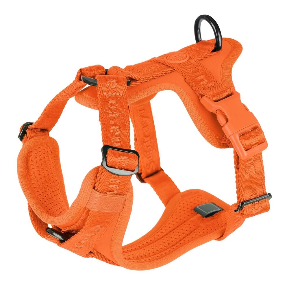 Sunraymascota Born for Love Soft Mesh Dog Harness Vest S Adjustable Reflective
